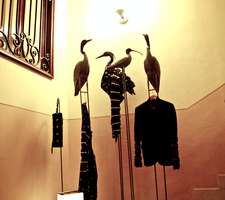 Evento sposi Cuneo 015